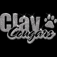 GLT1 SILVER GLITTER Thumbnail