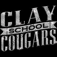 GLT57 SILVER GLITTER Thumbnail