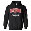 18500 Adult Heavy Blend Hooded Sweatshirt Thumbnail